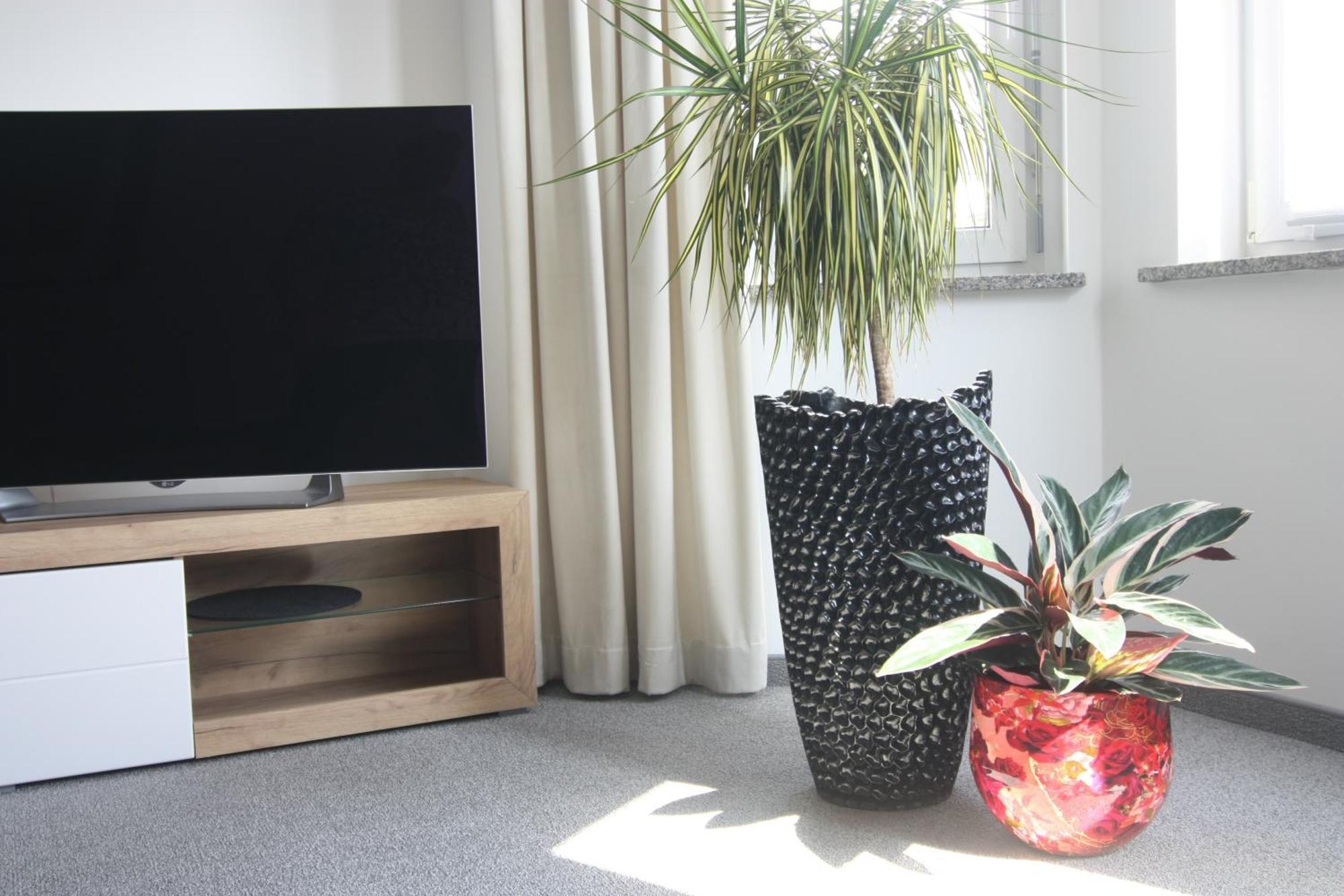 Wohnung In Stadtvilla, Dessau-Ziebigk Exterior foto